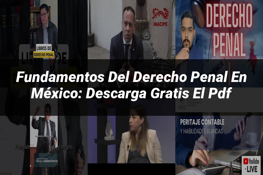 "Fundamentos del derecho penal en México: descarga gratis el PDF"
