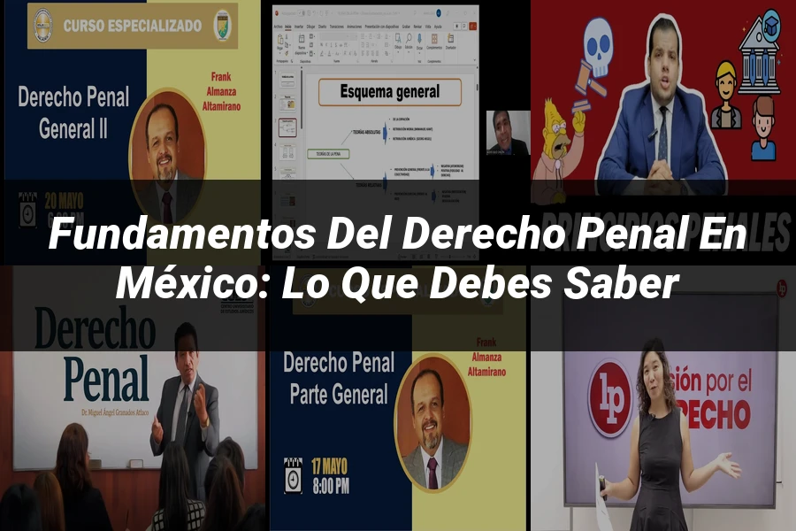 "Fundamentos del derecho penal en México: lo que debes saber"