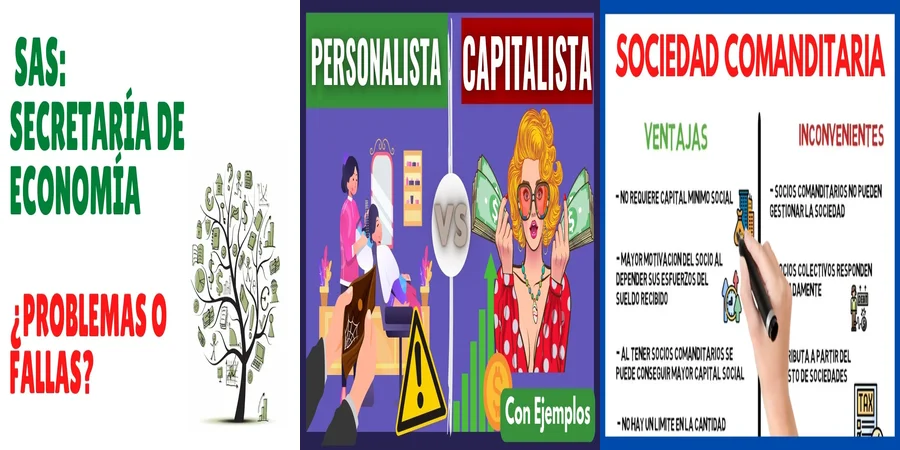 "Fundar tu Sociedad en México: Claves de la Ley Económica"