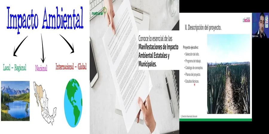 "Impacto Ambiental de la Lgeepa y sus Implicaciones Legales en México"
