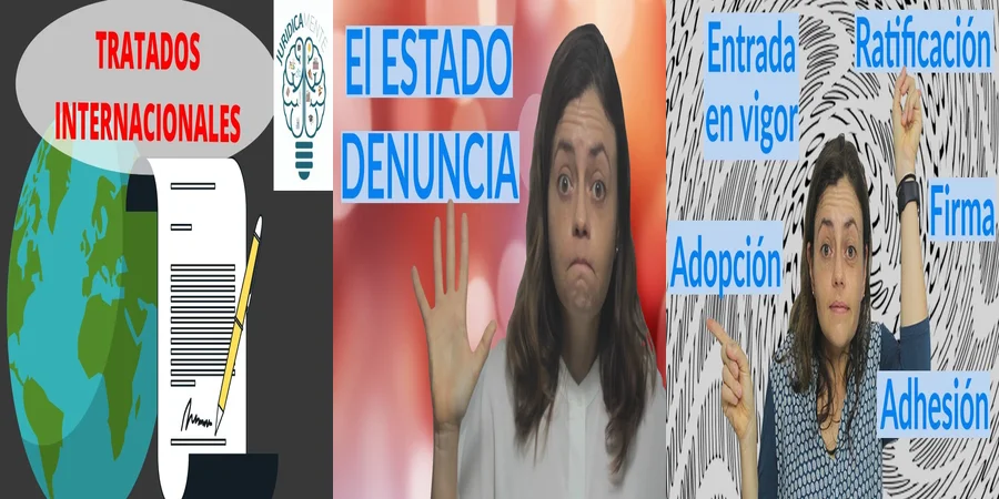 "Impacto de 9 tratados internacionales de derechos humanos en México"