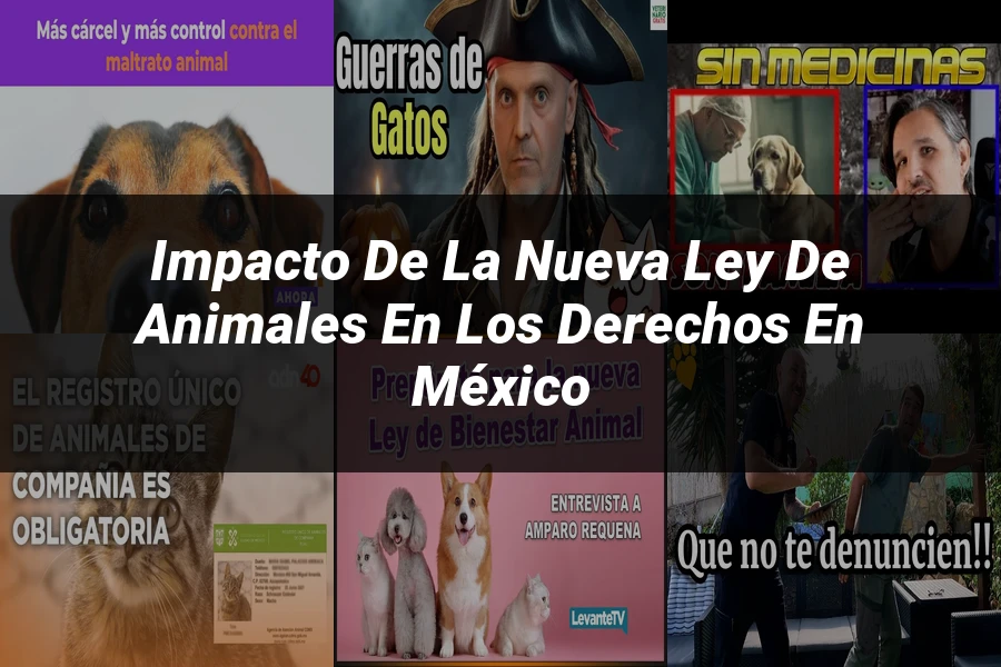 "Impacto de la Nueva Ley de Animales en los Derechos en México"