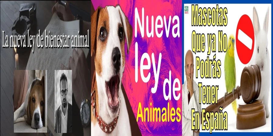 "Impacto de la Nueva Ley de Animales en los Derechos en México"