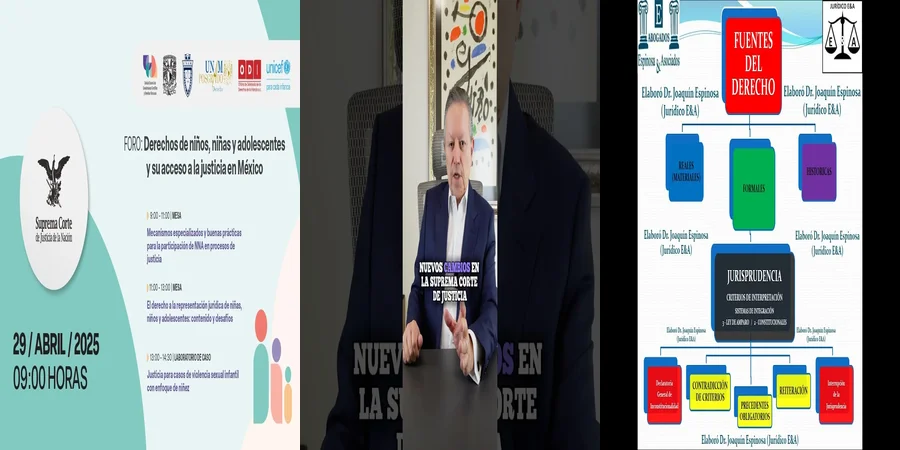 "Impacto de la jurisprudencia de la Suprema Corte en México"