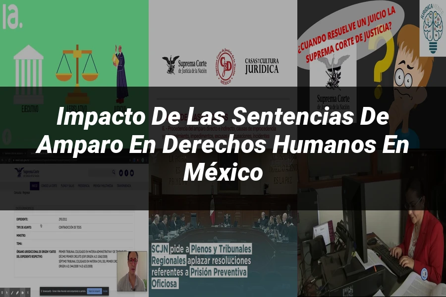 "Impacto de las sentencias de amparo en derechos humanos en México"