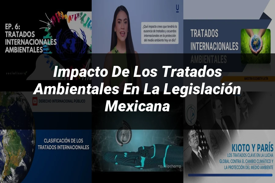 "Impacto de los tratados ambientales en la legislación mexicana"