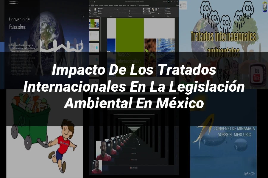 "Impacto de los tratados internacionales en la legislación ambiental en México"
