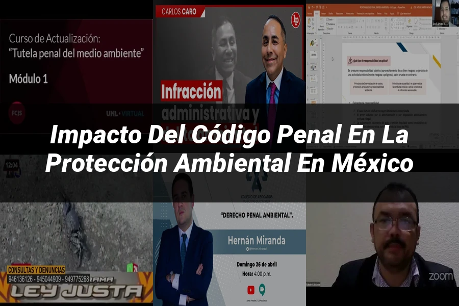 "Impacto del Código Penal en la Protección Ambiental en México"