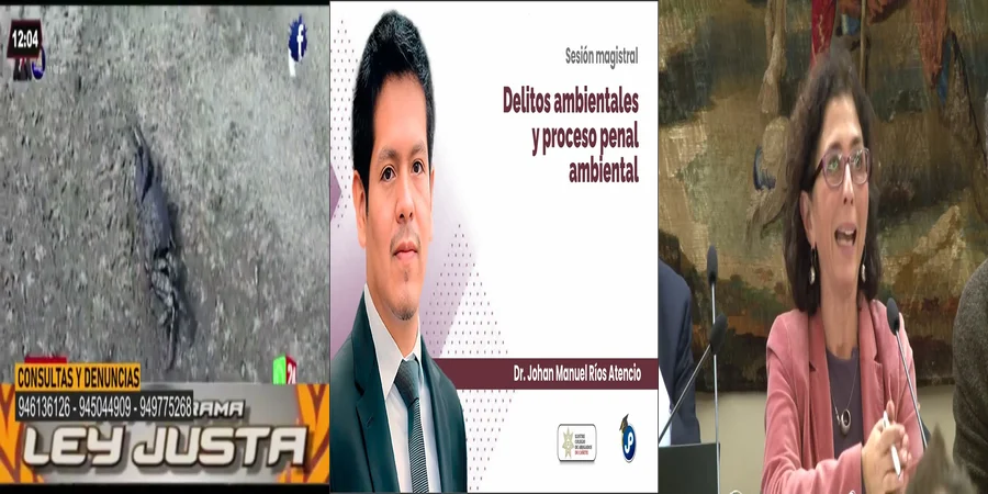 "Impacto del Código Penal en la Protección Ambiental en México"