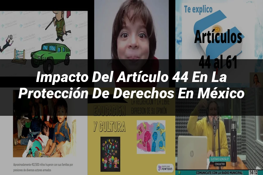 "Impacto del artículo 44 en la protección de derechos en México"