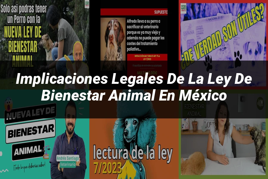 "Implicaciones Legales de la Ley de Bienestar Animal en México"