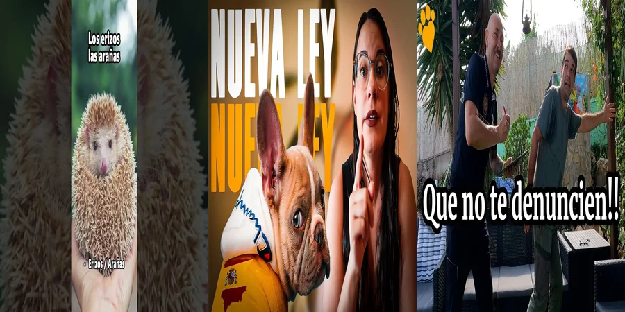 "Implicaciones Legales de la Ley de Bienestar Animal en México"
