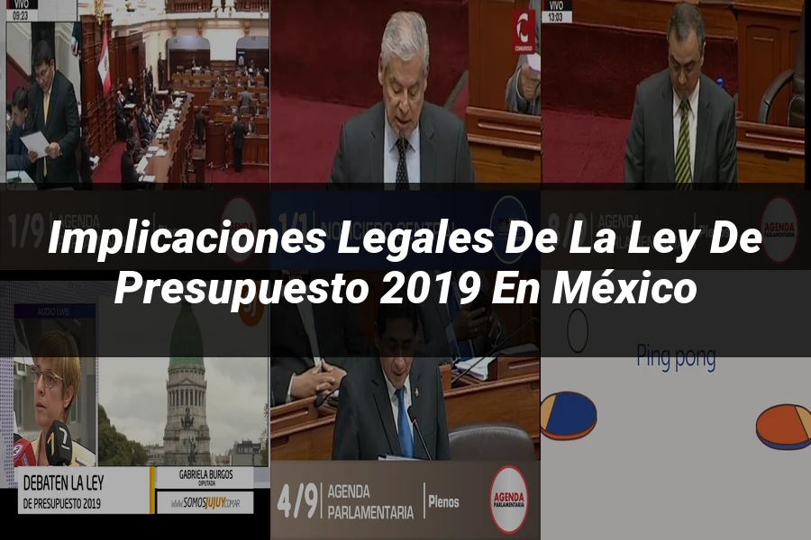 "Implicaciones Legales de la Ley de Presupuesto 2019 en México"