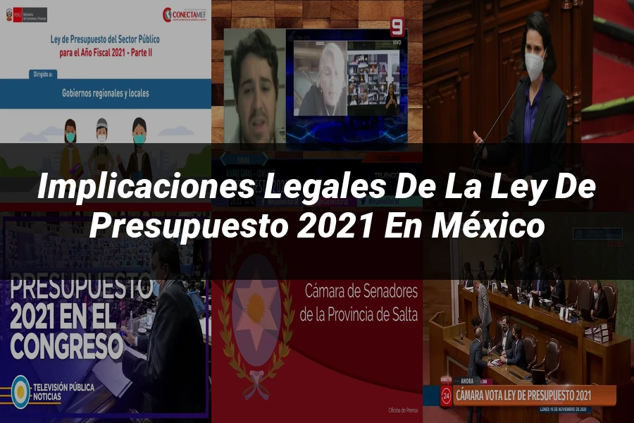 "Implicaciones Legales de la Ley de Presupuesto 2021 en México"