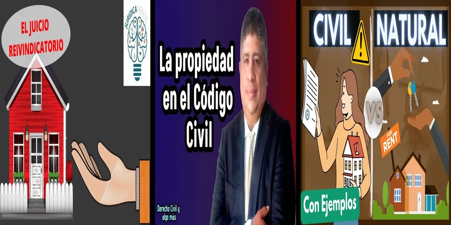 "Implicaciones Legales de la Posesión de Inmuebles en México"