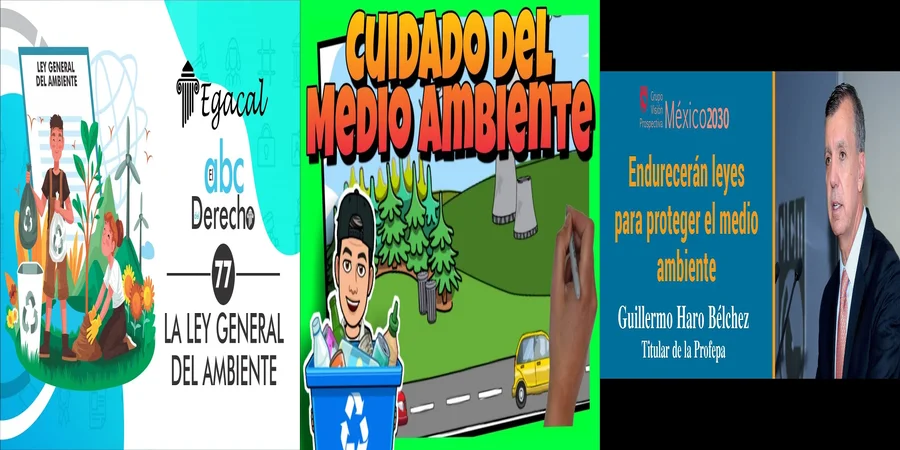 "Implicaciones de la Ley Ambiental en México para Abogados"