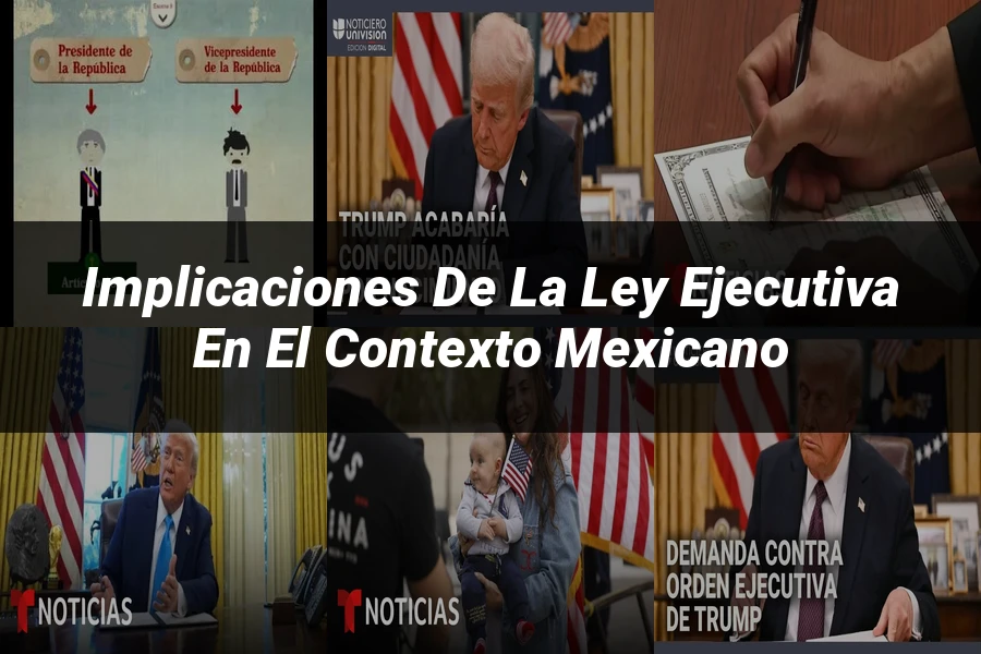 "Implicaciones de la Ley Ejecutiva en el Contexto Mexicano"