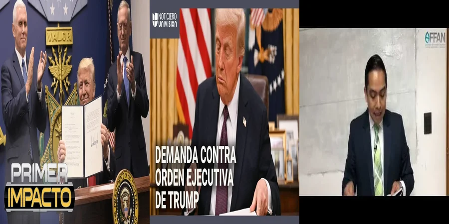 "Implicaciones de la Ley Ejecutiva en el Contexto Mexicano"