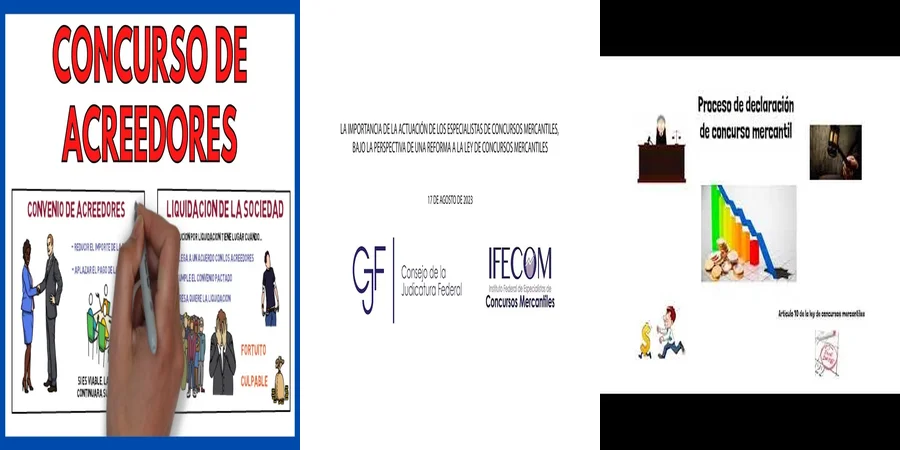 "Implicaciones de la Ley de Concursos Mercantiles en México"