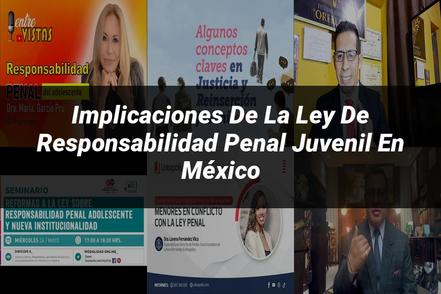 "Implicaciones de la Ley de Responsabilidad Penal Juvenil en México"