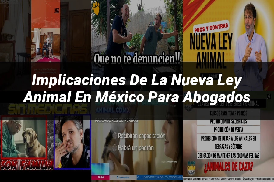 "Implicaciones de la Nueva Ley Animal en México para Abogados"