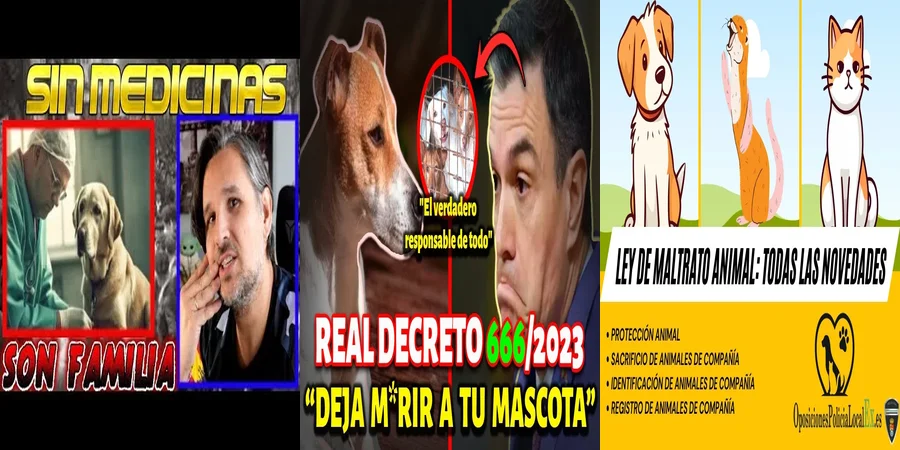 "Implicaciones de la Nueva Ley Animal en México para Abogados"