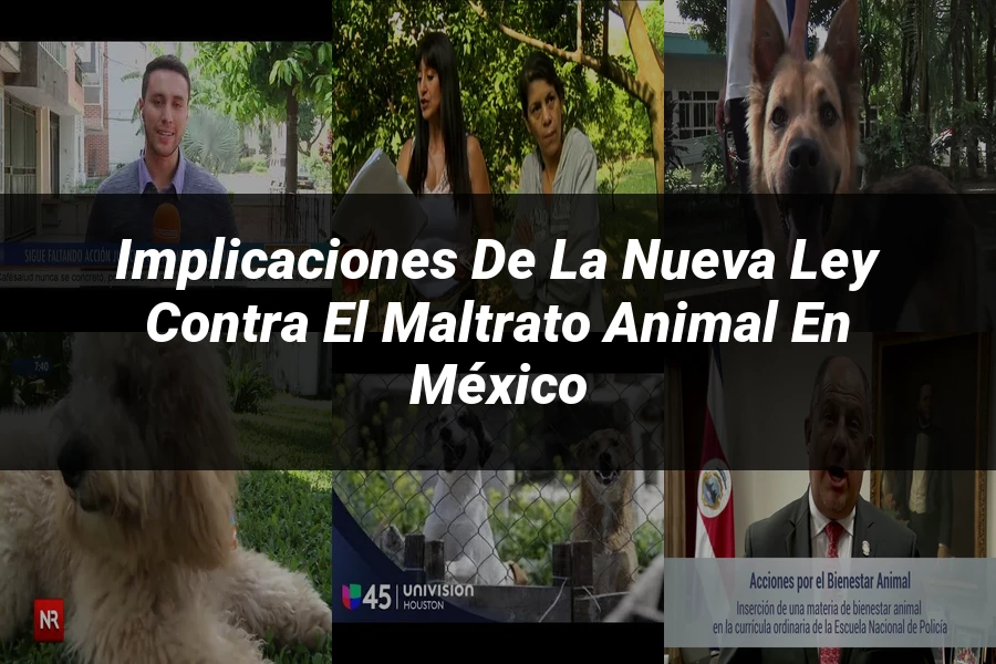 "Implicaciones de la Nueva Ley Contra el Maltrato Animal en México"