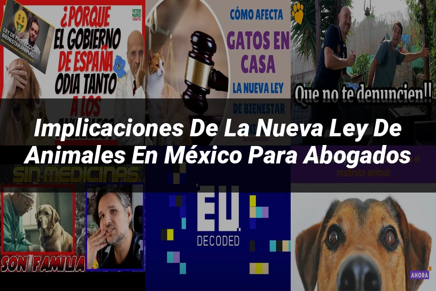 "Implicaciones de la Nueva Ley de Animales en México para Abogados"