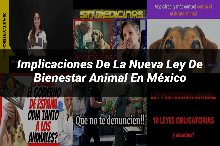 "Implicaciones de la Nueva Ley de Bienestar Animal en México"