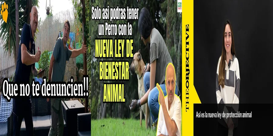 "Implicaciones de la Nueva Ley de Bienestar Animal en México"