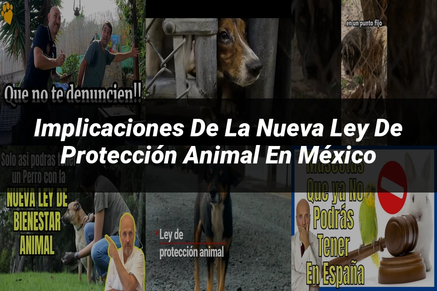 "Implicaciones de la Nueva Ley de Protección Animal en México"