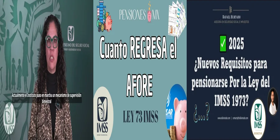 "Implicaciones de la Nueva Ley del IMSS Modalidad 40 en México"