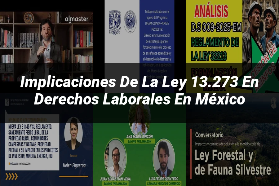 "Implicaciones de la ley 13.273 en derechos laborales en México"