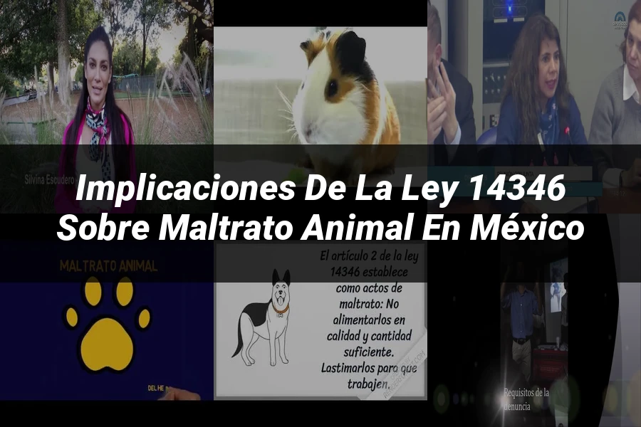"Implicaciones de la ley 14346 sobre maltrato animal en México"