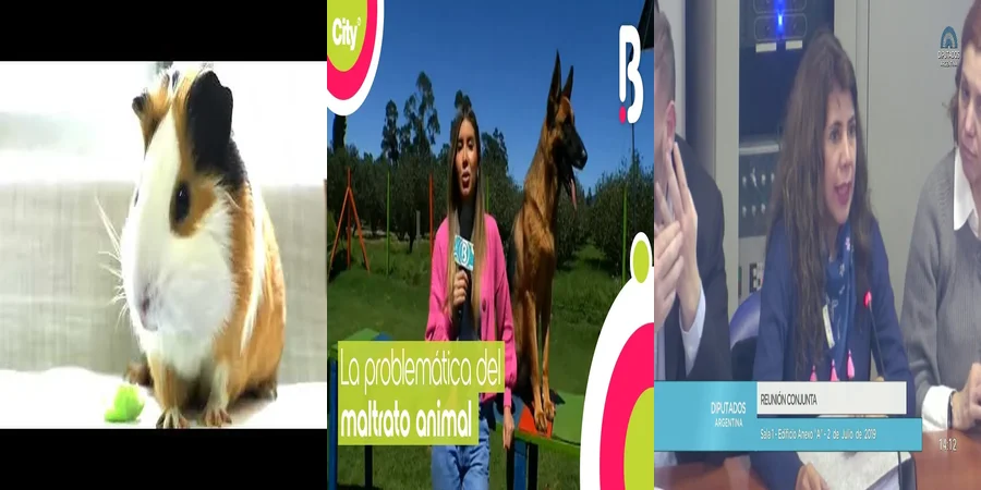 "Implicaciones de la ley 14346 sobre maltrato animal en México"