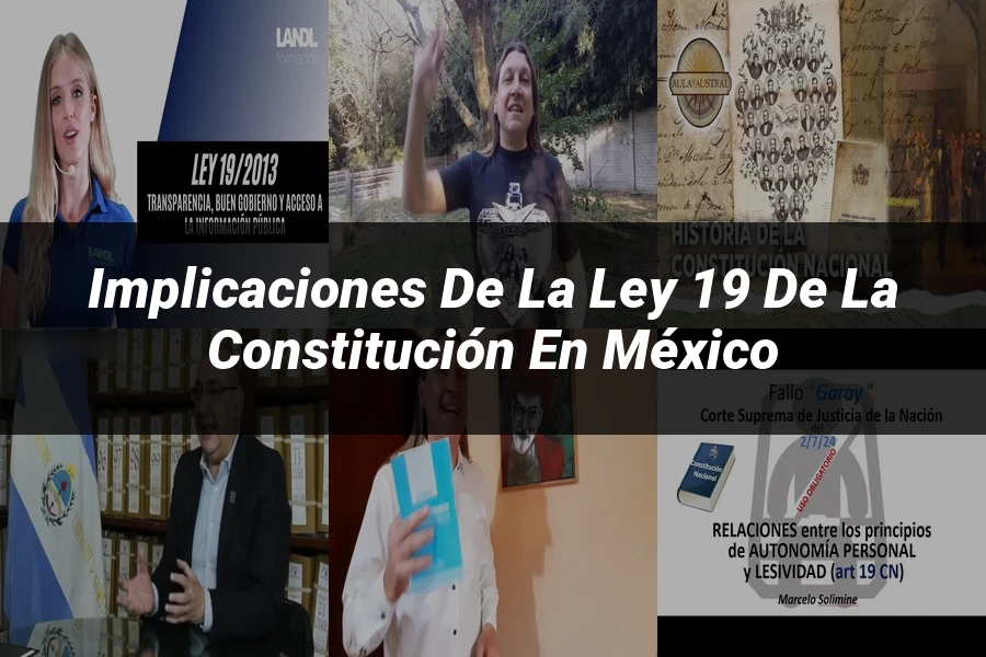 "Implicaciones de la ley 19 de la constitución en México"