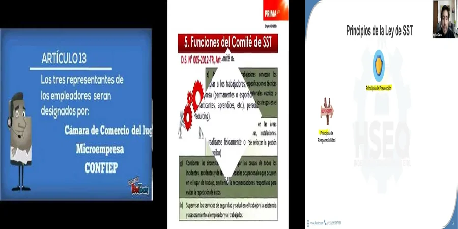 "Implicaciones de la ley 30222 sobre seguridad laboral en México"