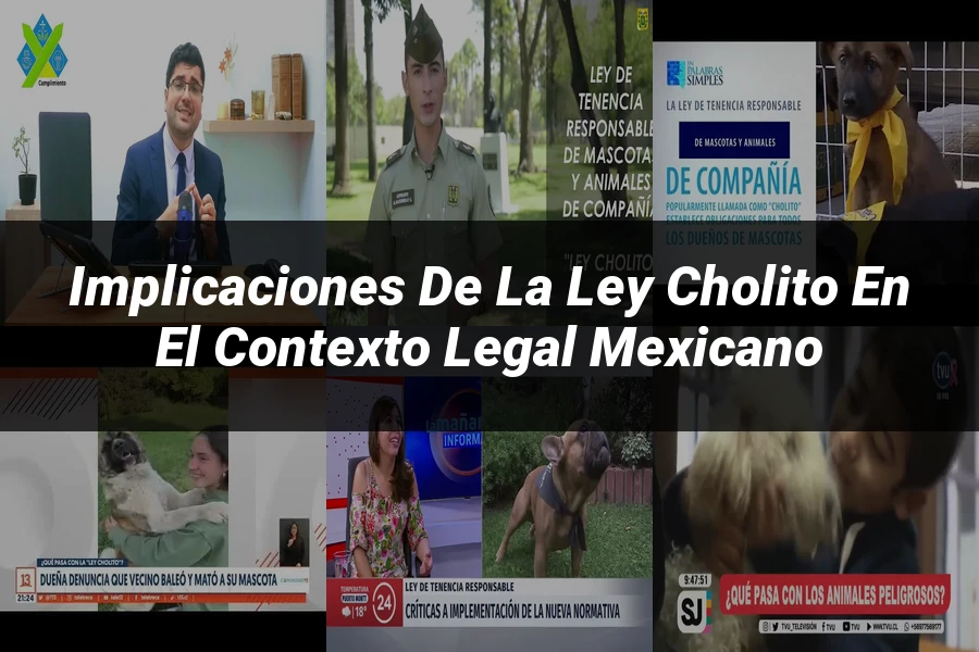 "Implicaciones de la ley cholito en el contexto legal mexicano"
