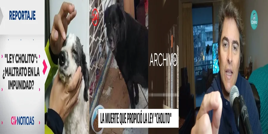 "Implicaciones de la ley cholito en el contexto legal mexicano"
