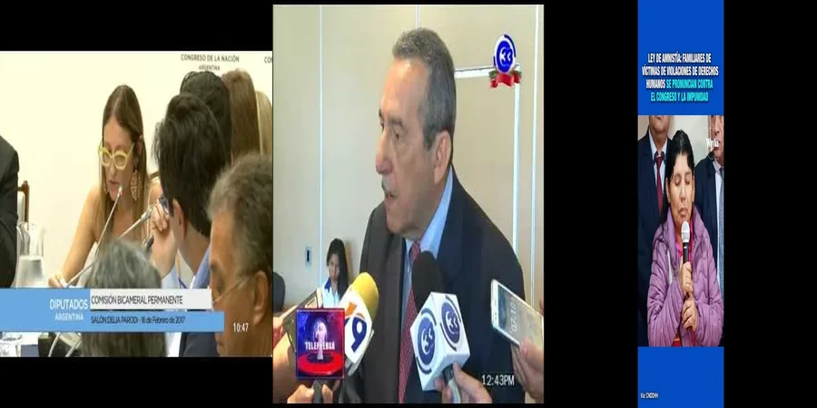 "Implicaciones de la ley de amnistía argentina en México"