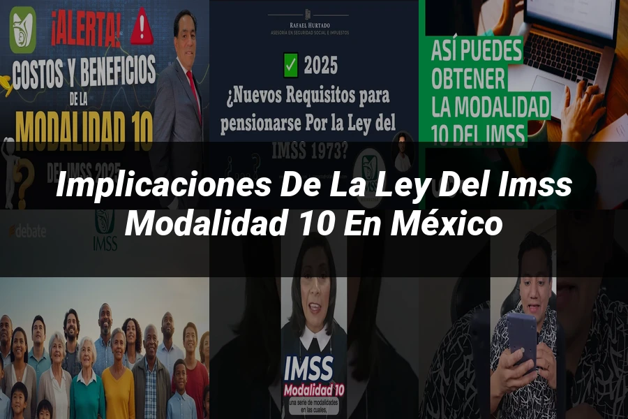 "Implicaciones de la ley del IMSS modalidad 10 en México"