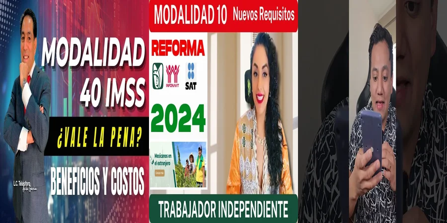 "Implicaciones de la ley del IMSS modalidad 10 en México"
