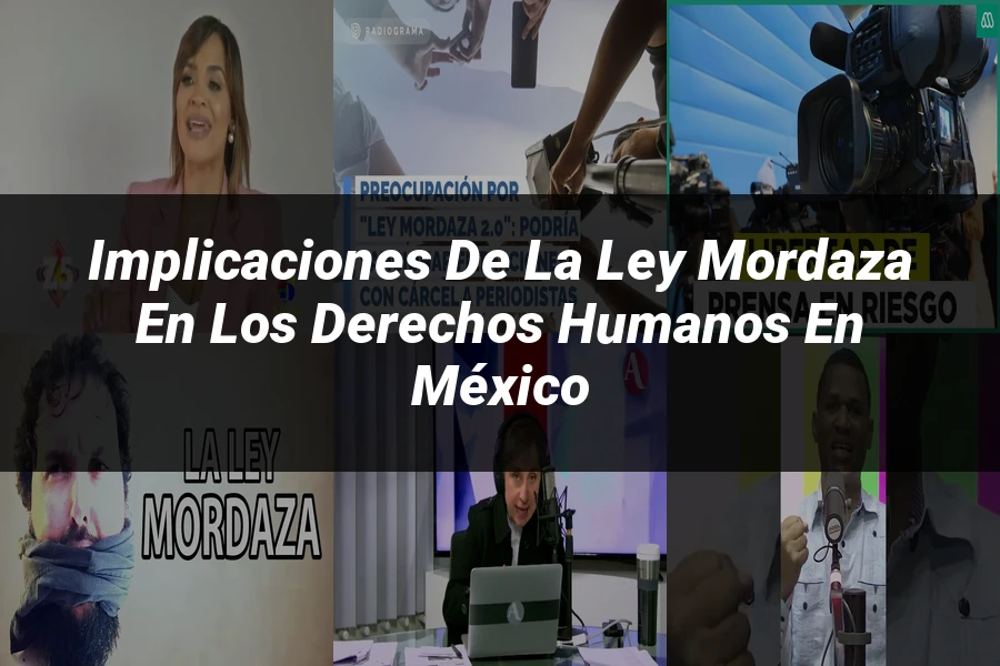 "Implicaciones de la ley mordaza en los derechos humanos en México"