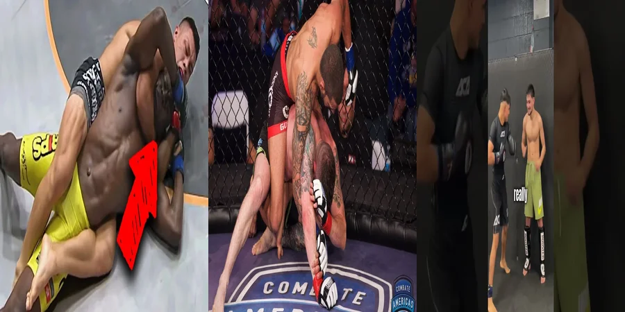 "Implicaciones de la ley rep mma en el ámbito legal mexicano"