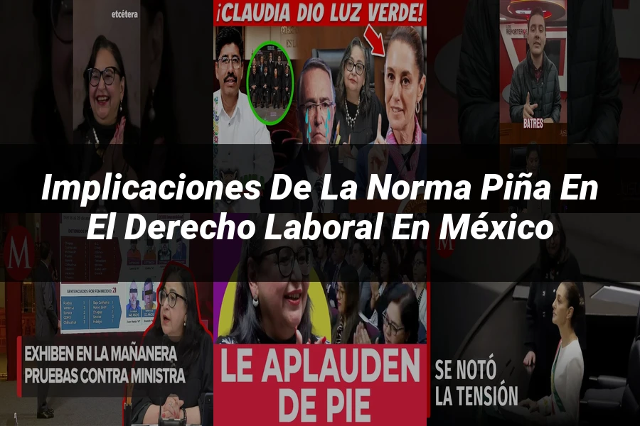 "Implicaciones de la norma piña en el derecho laboral en México"