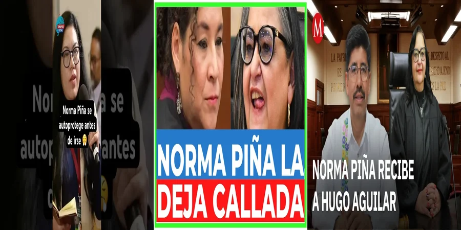 "Implicaciones de la norma piña en el derecho laboral en México"