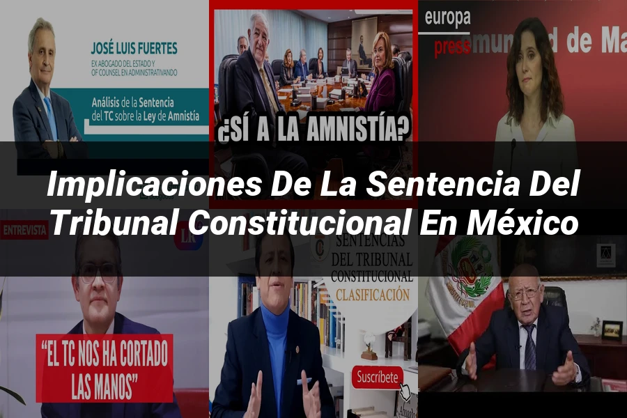 "Implicaciones de la sentencia del tribunal constitucional en México"