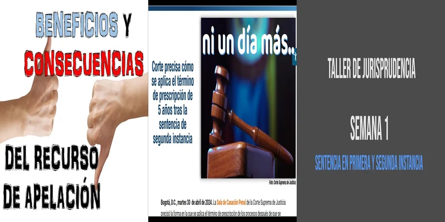 "Implicaciones de una sentencia de segunda instancia en México"