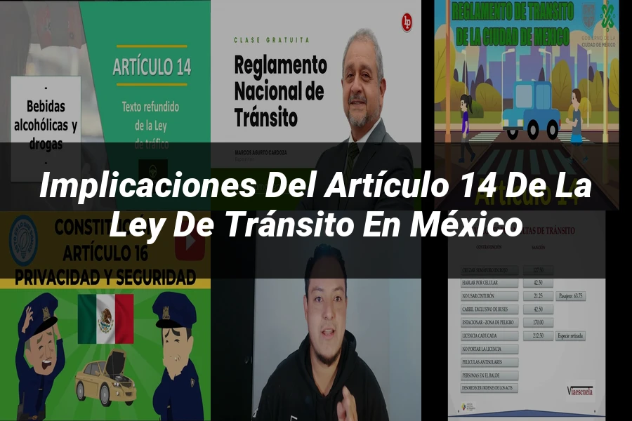 "Implicaciones del Artículo 14 de la Ley de Tránsito en México"