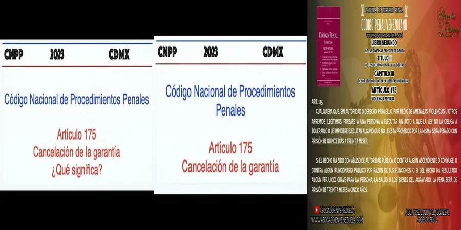 "Implicaciones del Artículo 175 del Código Penal en México"